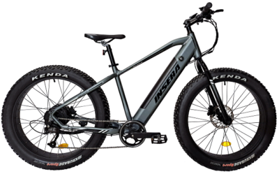 INSERA e-MUFFLE 19″ 9V